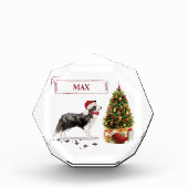 Border Collie Funny Christmas Dog mit Baum Fotoblock (Vorderseite)
