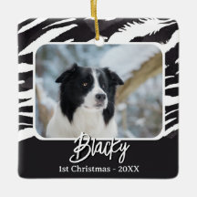 Border Collie Fur Muster Foto 1. Weihnachten