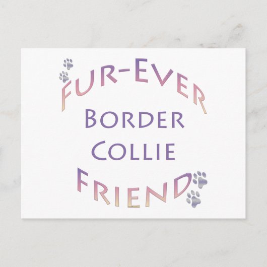 Border Collie Furever Postkarte (Vorderseite)