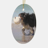 Border-Collie - Fußball jedermann? Keramik Ornament (Links)
