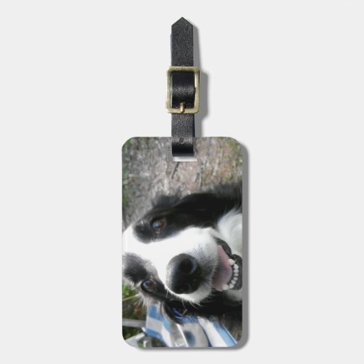 BORDER-COLLIE GEPÄCKANHÄNGER (Vorderseite vertikal)