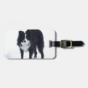 Border-Collie Gepäckanhänger