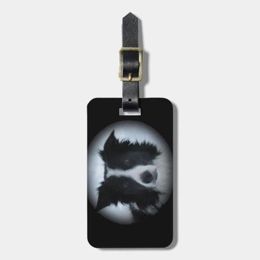 Border-Collie Gepäckanhänger (Vorderseite vertikal)