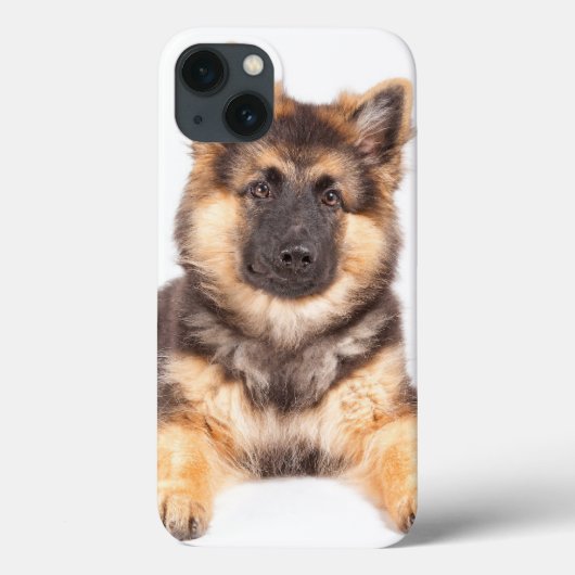Border Collie German Shepherd Mix Case-Mate iPhone Hülle (Rückseite)