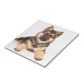 Border Collie German Shepherd Mix Fliese (Seite)