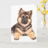 Border Collie German Shepherd Mix Karte (Gelbe Blume)