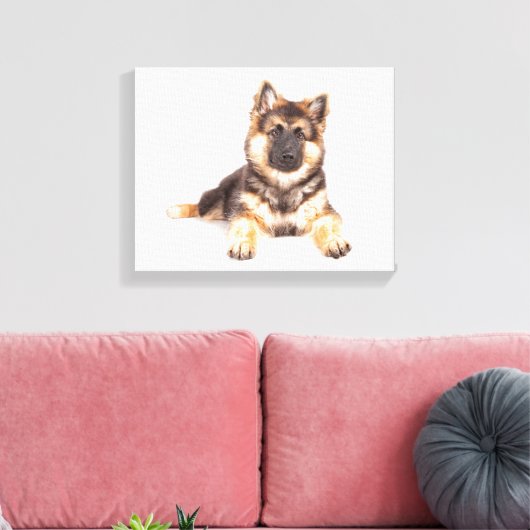 Border Collie German Shepherd Mix Leinwanddruck (Insitu (Wohnzimmer))