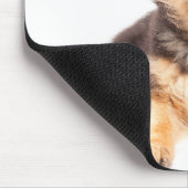 Border Collie German Shepherd Mix Mousepad (Ecke)