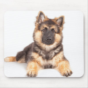 Border Collie German Shepherd Mix Mousepad