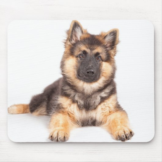 Border Collie German Shepherd Mix Mousepad (Vorne)