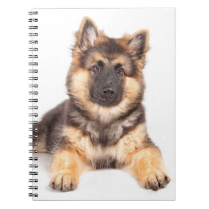 Border Collie German Shepherd Mix Notizblock
