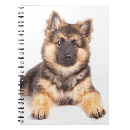 Border Collie German Shepherd Mix Notizblock (Vorderseite)