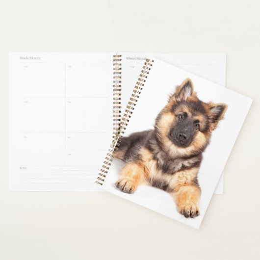 Border Collie German Shepherd Mix Planer (Anzeige)