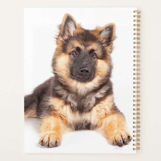 Border Collie German Shepherd Mix Planer (Rückseite)