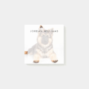 Border Collie German Shepherd Mix Post-it Klebezettel
