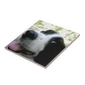 Border Collie Geschenke Fliese (Seite)