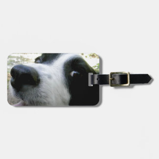 Border-Collie-Geschenke Gepäckanhänger
