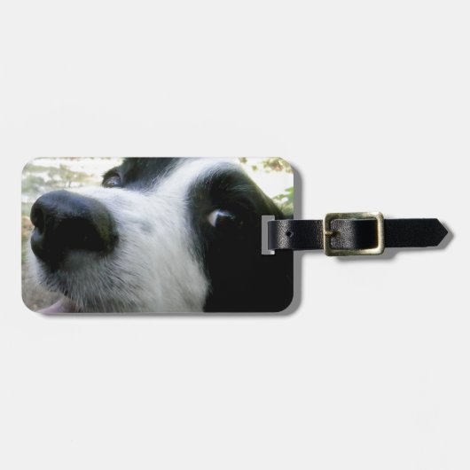 Border-Collie-Geschenke Gepäckanhänger (Vorderseite horizontal)