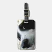 Border-Collie-Geschenke Gepäckanhänger (Vorderseite vertikal)