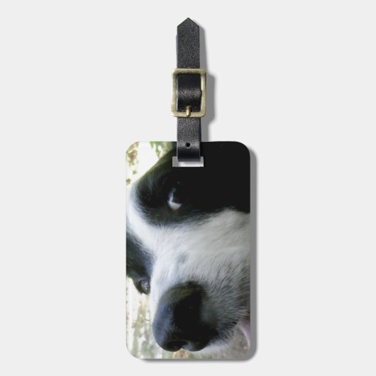 Border-Collie-Geschenke Gepäckanhänger (Vorderseite vertikal)