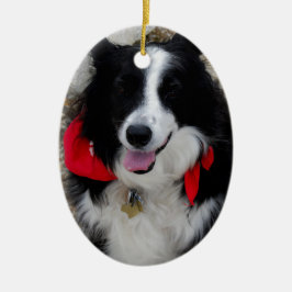 Border-Collie-Geschenke Keramik Ornament