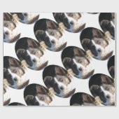 BORDER COLLIE GESCHENKPAPIER (Flach)