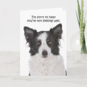 Border Collie Get Well Card Karte (Vorderseite)