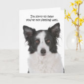 Border Collie Get Well Card Karte (Gelbe Blume)