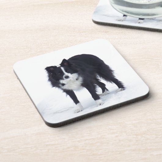 Border-Collie Getränkeuntersetzer (Linke Seite)