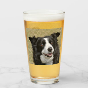 Border Collie Glas