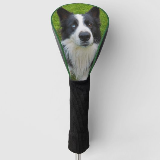 Border Collie Golf Headcover (Vorderseite)