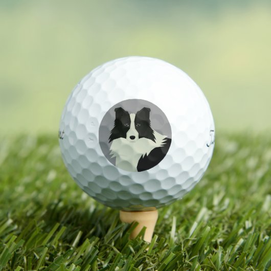 Border Collie Golfball (Insitu T-Shirt)