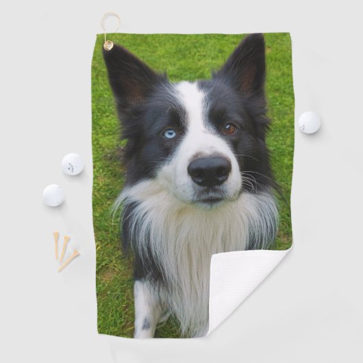 Border Collie Golfhandtuch (Insitu)