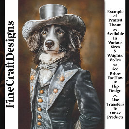 Border Collie Grey Viktorianisch Outfit CF5 Decoup Seidenpapier