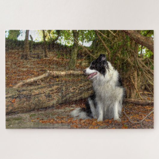 Border Collie Groß Puzzle (Horizontal)