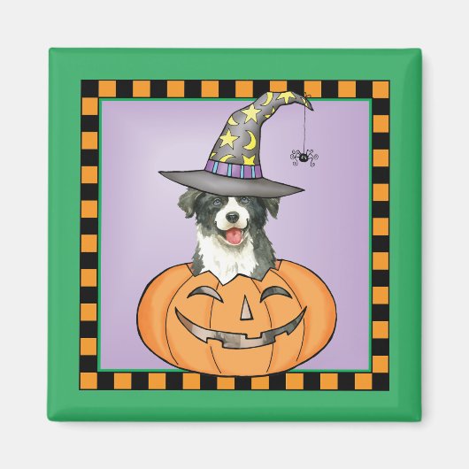 Border Collie Halloween Magnet (Vorne)