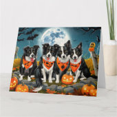 Border Collie Halloween Spooky Karte (Vorderseite)