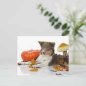 Border Collie Haloween Postkarte (Stehend Vorderseite)