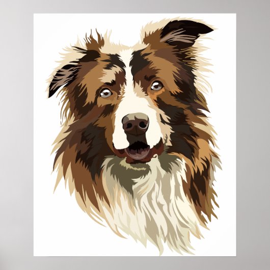 Border Collie Handgemalte Illustration Poster (Vorne)