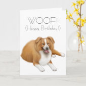 Border Collie Happy Birthday Card Karte (Gelbe Blume)