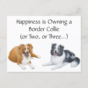 Border Collie Happy Postkarte