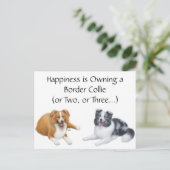 Border Collie Happy Postkarte (Stehend Vorderseite)