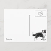 Border Collie Happy Postkarte (Rückseite)