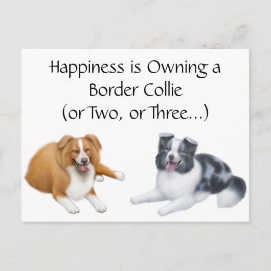 Border Collie Happy Postkarte (Vorderseite)