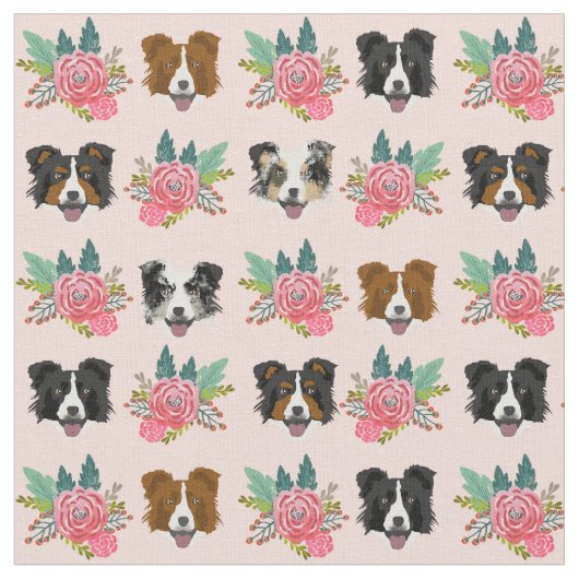 Border Collie hat rosa Flora Stoff (Nahaufnahme)