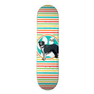Border Collie; helle Regenbogenstreifen Skateboard