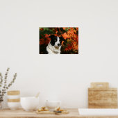 Border Collie Herbst Headshot Poster (Küche)