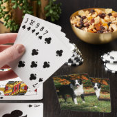 Border Collie Herbst Stehend Spielkarten (In Situ)