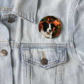Border-Collie-HerbstHeadshot Button (Beispiel)