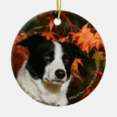 Border-Collie-HerbstHeadshot Keramik Ornament (Vorne)